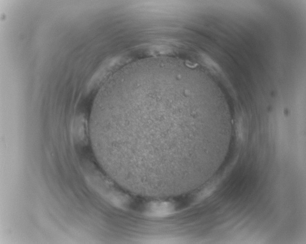 X0000056030169200508261916