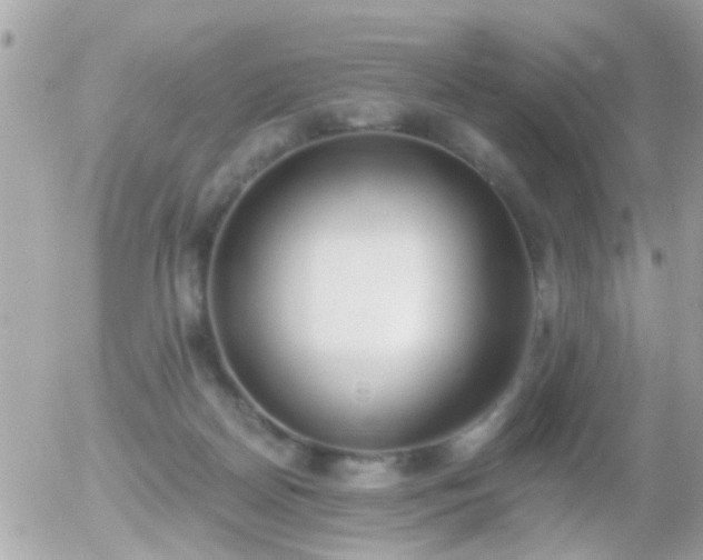 X0000056030170200508261916