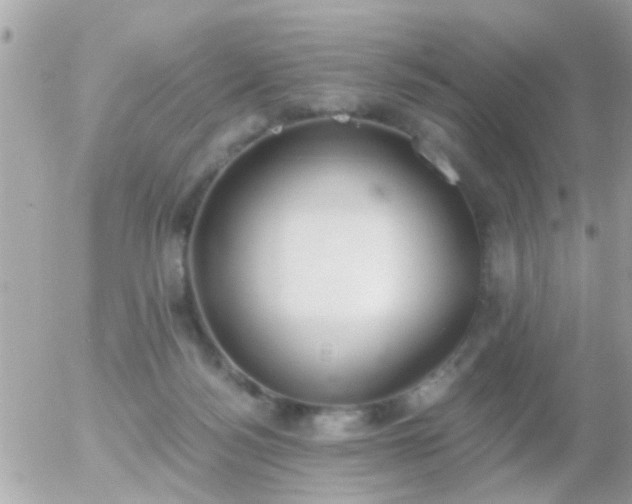 X0000056030172200508261916