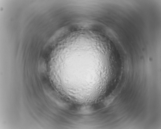 X0000056030173200508261916