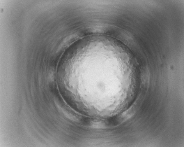 X0000056030175200508261916