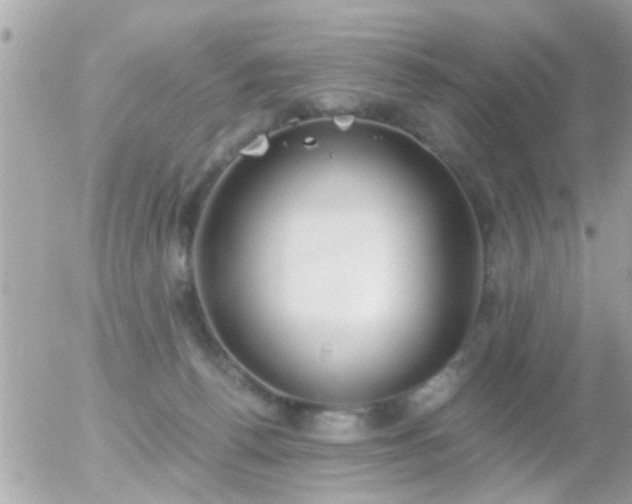 X0000056030176200508261916