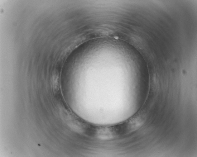 X0000056030177200508261916