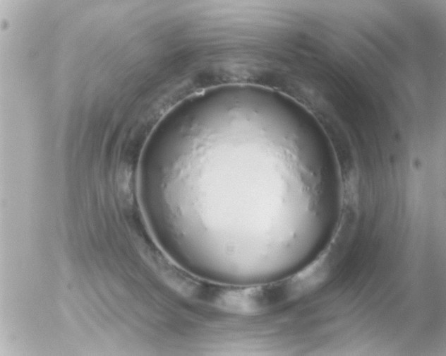 X0000056030178200508261916