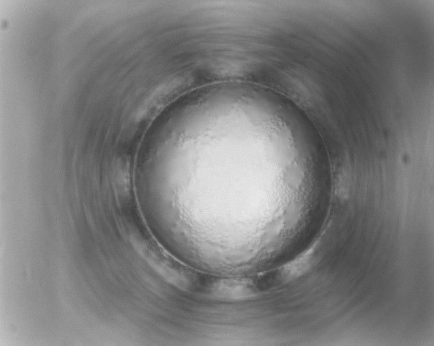 X0000056030179200508261916