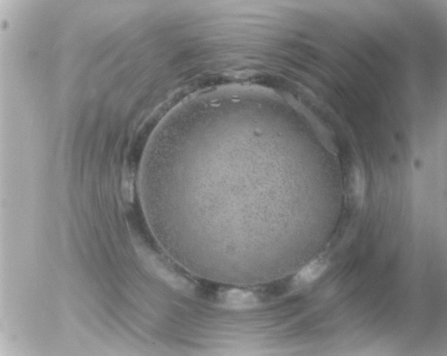 X0000056030180200508261916