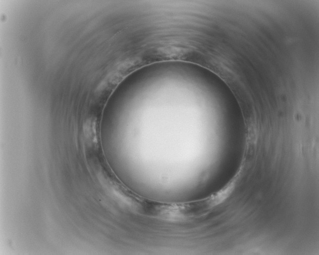 X0000056030182200508261916