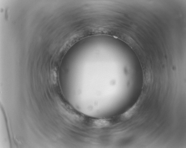 X0000056030183200508261916