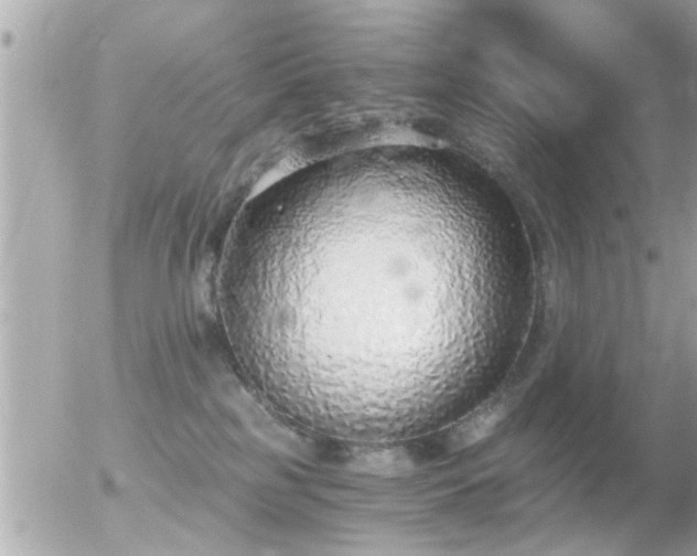 X0000056030185200508261916