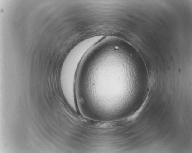 X0000056030186200508261916