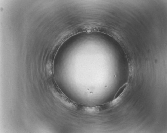 X0000056030187200508261916