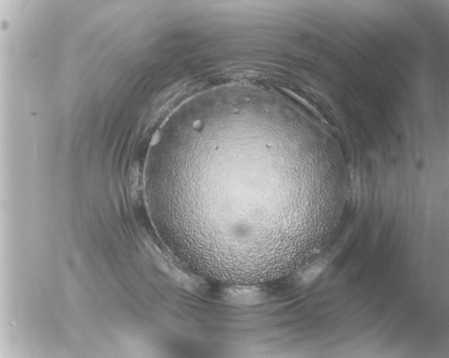 X0000056030189200508261916