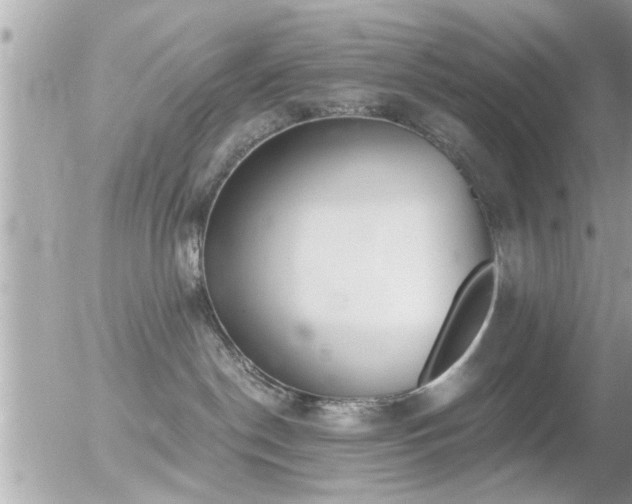 X0000056030190200508261916