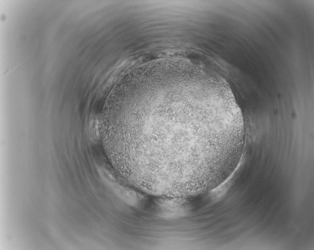 X0000056030191200508261916