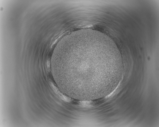 X0000056030192200508261916