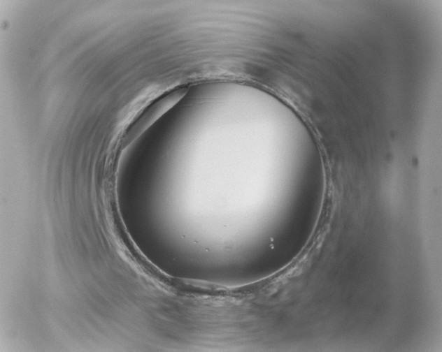 X0000056030193200508261915