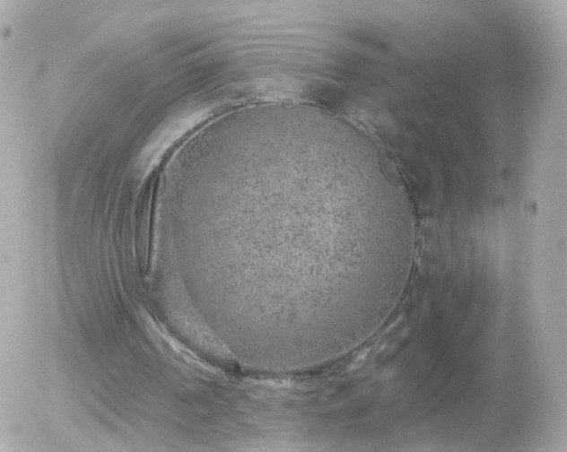 X0000056030194200508261915