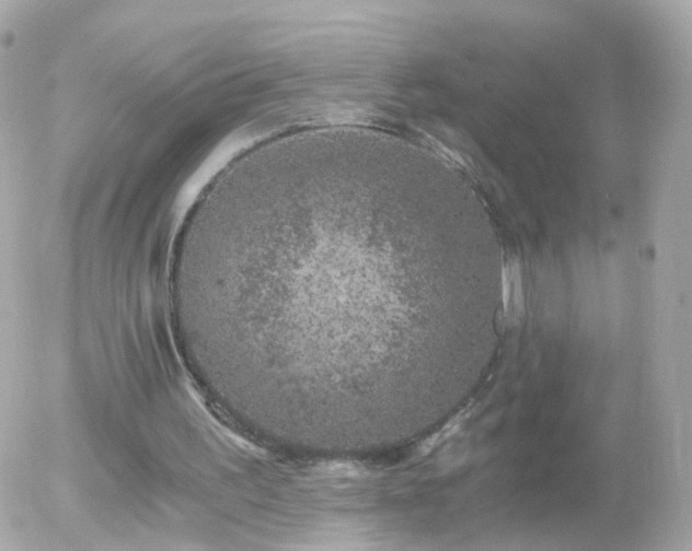 X0000056030195200508261915