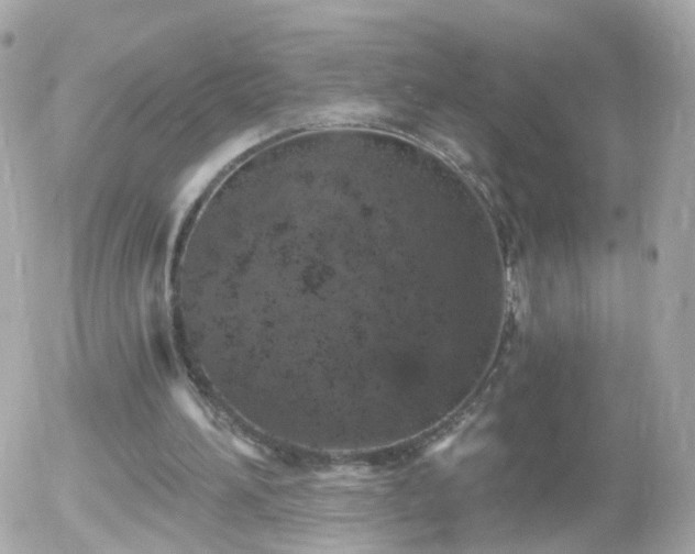 X0000056030196200508261915