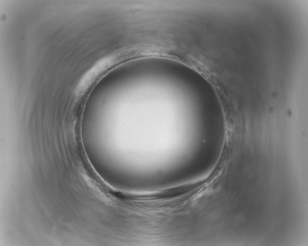 X0000056030197200508261915