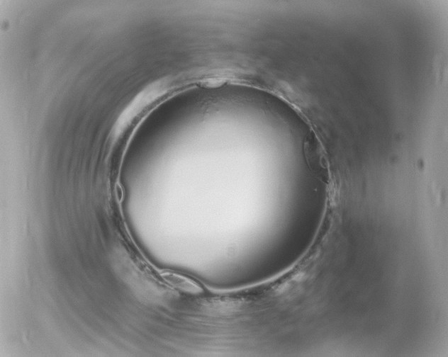 X0000056030198200508261915