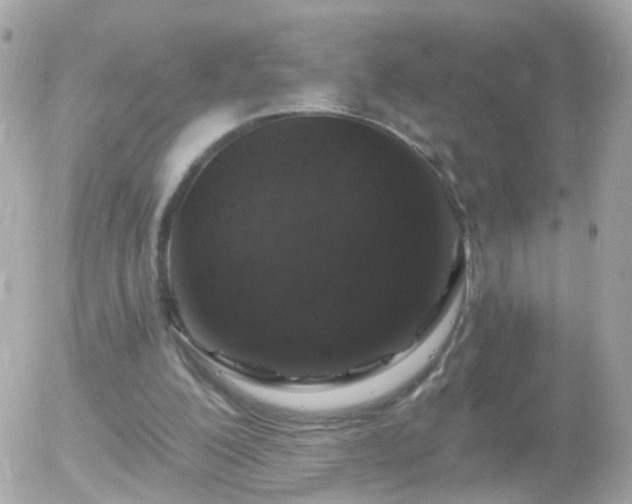 X0000056030200200508261915