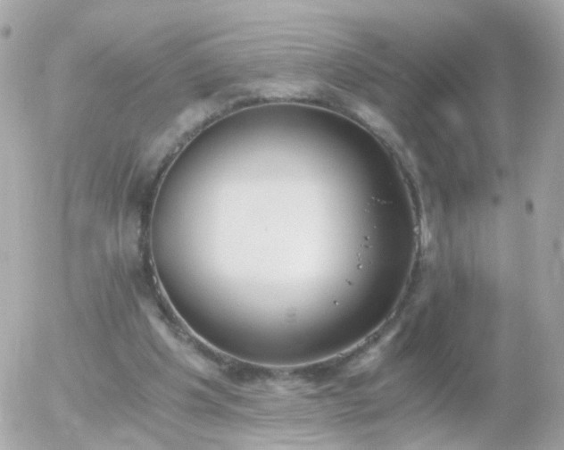 X0000056030201200508261915