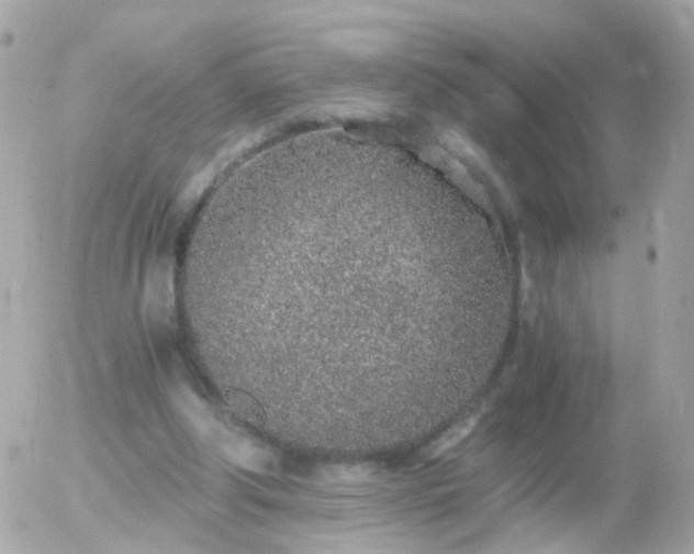 X0000056030202200508261915