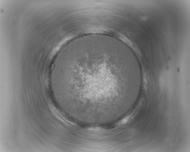 X0000056030203200508261915