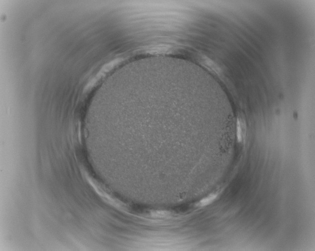 X0000056030205200508261915