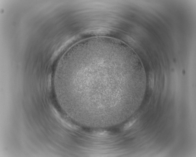 X0000056030206200508261915