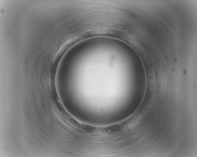 X0000056030207200508261915