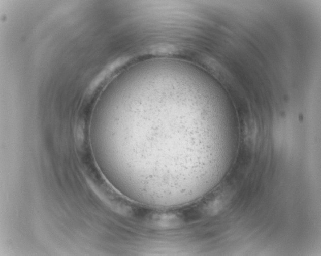 X0000056030208200508261915