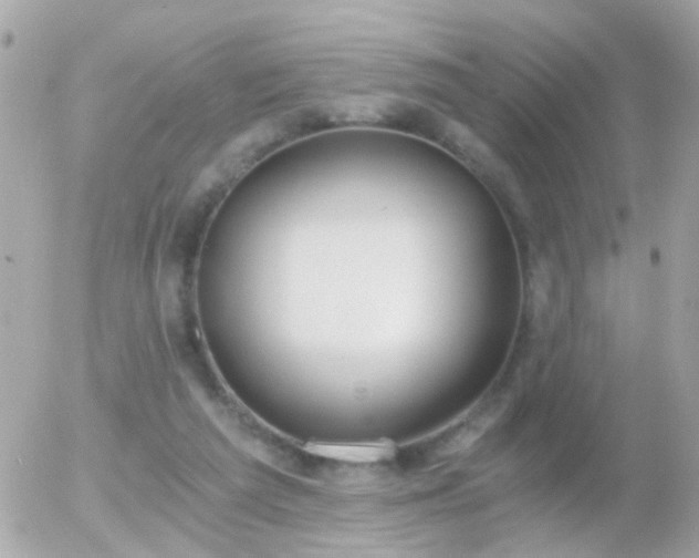 X0000056030209200508261915