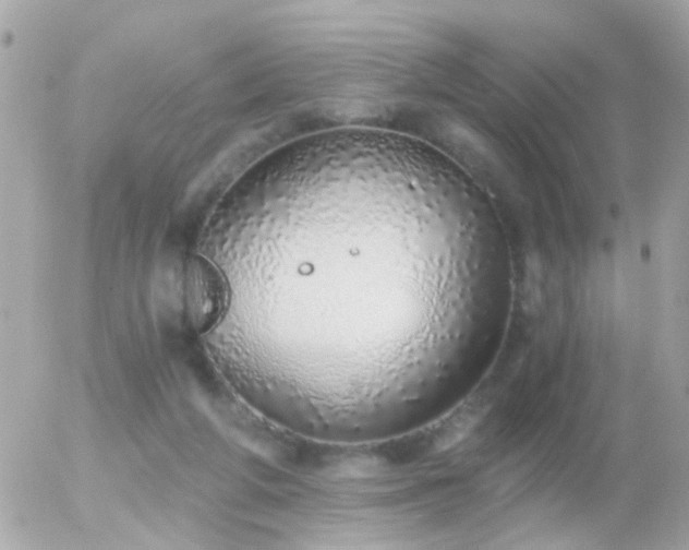 X0000056030210200508261915