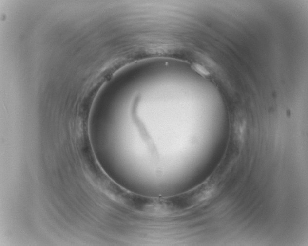 X0000056030211200508261915