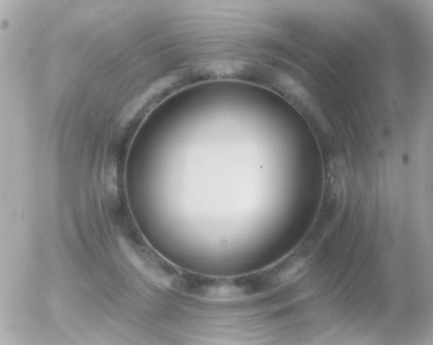 X0000056030212200508261915