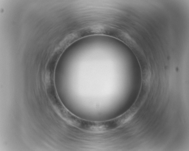 X0000056030213200508261915