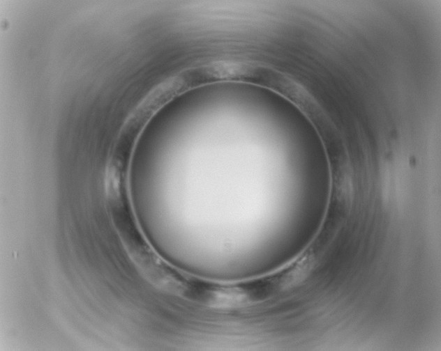 X0000056030214200508261915