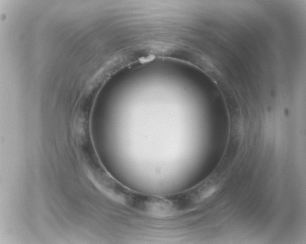 X0000056030215200508261915