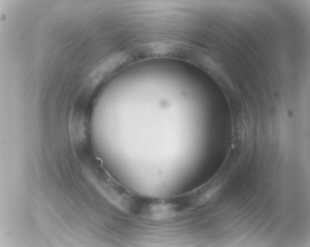 X0000056030216200508261915