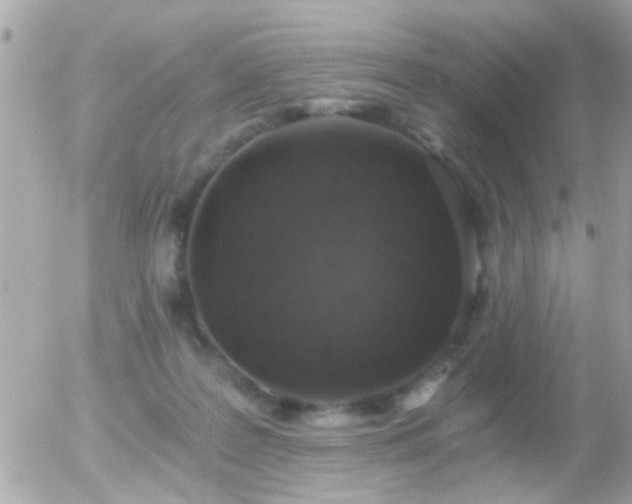 X0000056030219200508261915