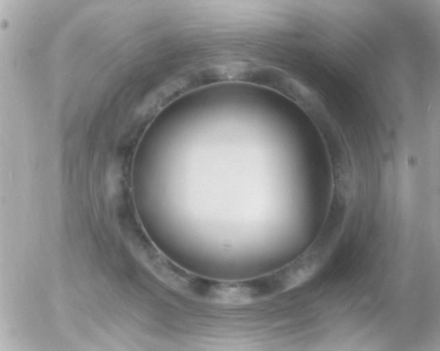 X0000056030221200508261915