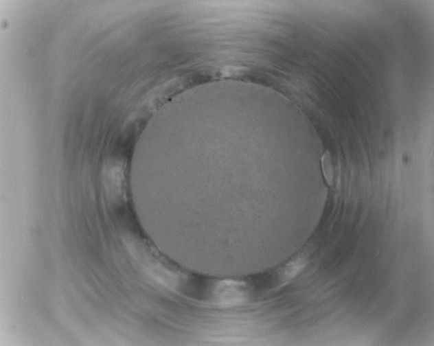 X0000056030222200508261915