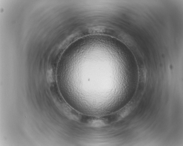 X0000056030224200508261915