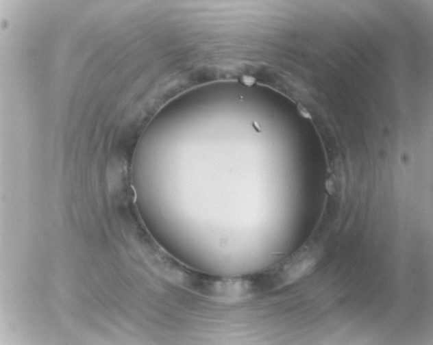 X0000056030225200508261915