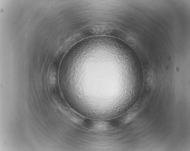 X0000056030226200508261915