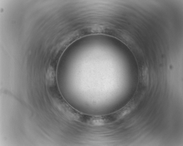 X0000056030228200508261915