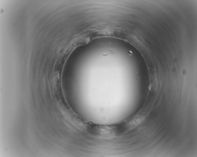 X0000056030229200508261915