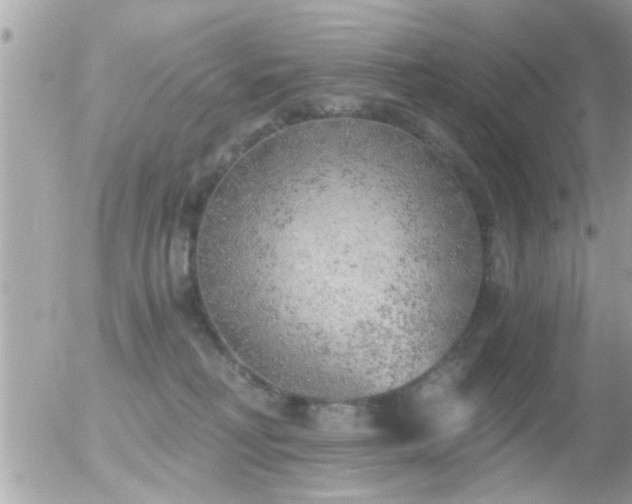 X0000056030230200508261915